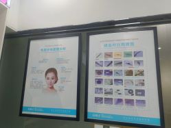 -白博士面部护理&头皮护理