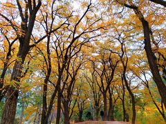 -元大都城垣遗址公园