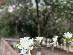 -华农酸奶文化馆