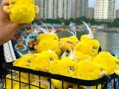 -大连圣亚海洋世界