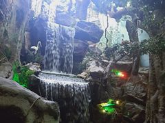 -多彩贵州城极地海洋世界