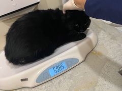 -萌兽医馆·犬猫专科·眼科中心·宠物医院(朝阳门分院)