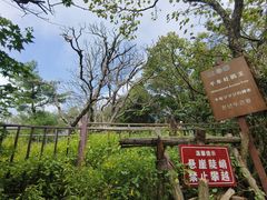 -王顺山国家森林公园