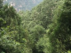 -碓臼峪自然风景区