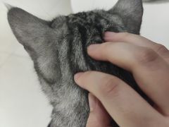 -怪兽屋·羊驼·猫咖·狗咖(俊华广场店)