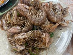 -贞姨美食·老字号海鲜大排档