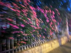 -都江堰石锅鱼