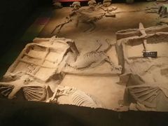 -洛阳周王城天子驾六博物馆