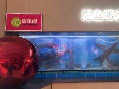 -老板恋上鱼(恒隆广场店)