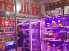 -宝鸡东道花鸟鱼虫市场(吉利花园商场店)