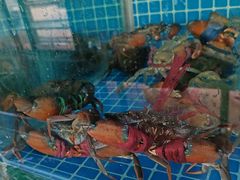 -南庄酒家·海鲜粤菜·25年老字号(环城南路店)