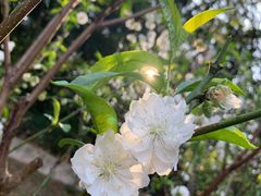 -桃花涧