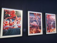 -罗红摄影艺术馆