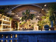 -自由生长植物工作室(深港花卉中心店)