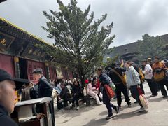 -普陀山慧济禅寺