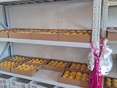 -南汇新场正宗水蜜桃采摘