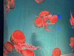 -巧克力渔家.小船海鲜家常菜(万平口店)