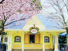 -上海迪士尼度假区