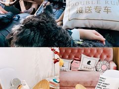 -Double Rui宠物酒店