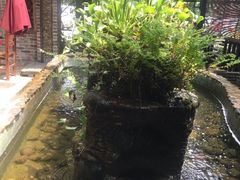 大堂-园林美食城·本土农家菜(杨和镇店)