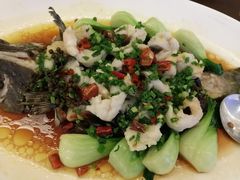 椒麻葱香海斑鱼-锦粤宫·精致粤菜(深圳北站店)