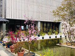 -南紀白浜 浜千鳥の湯 海舟