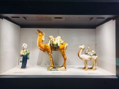 -四川宋瓷博物馆