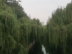 -解放阁