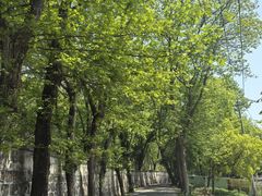 -上海佘山国家森林公园天马山园