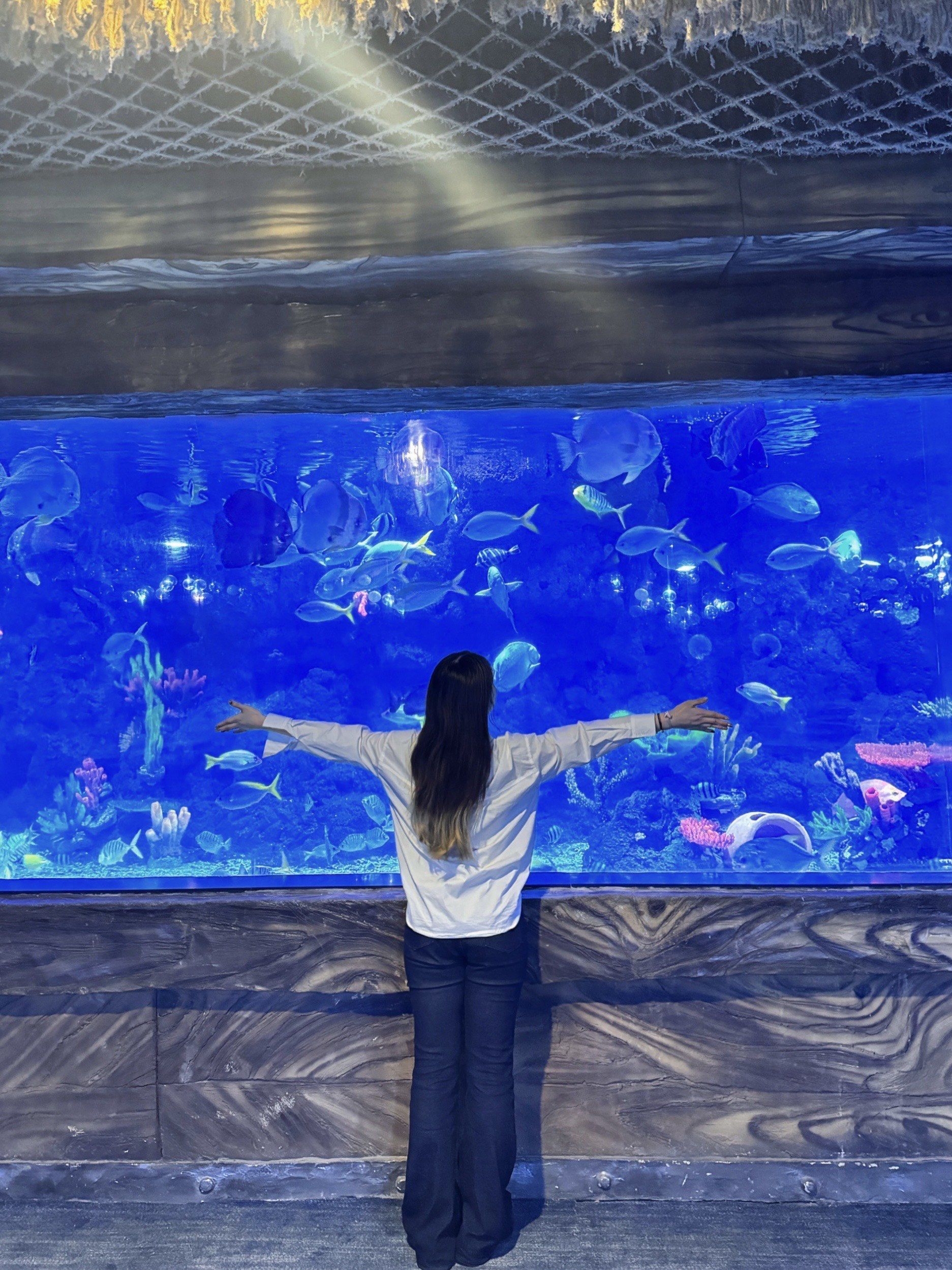 郑州海洋馆🌊拍到了人生照片!