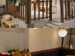 大堂-柴迷FANS CLUB·柴犬狗咖·猫咖