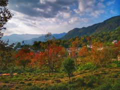 -塔川景区