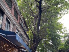-西关84·History·Art·Cafe