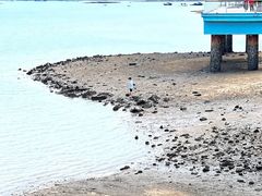 -海沧湾公园