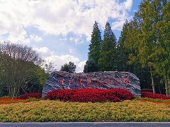 -东平国家森林公园