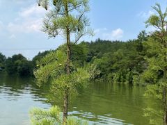 -天目湖山水园