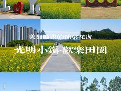 -光明小镇欢乐田园