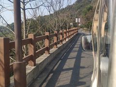 -杭州半山国家森林公园