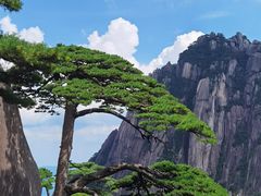 -黄山风景区