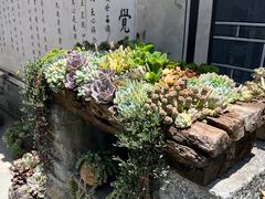 -寂照庵