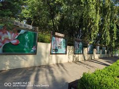 -国家植物园