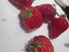 -大渔之观(安贞店)