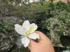 -东江渔村·古典园林·30年粤菜老字号(太和店)