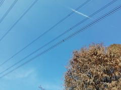 -九里河湿地公园