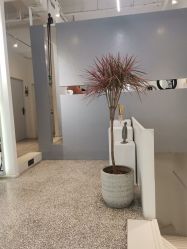 -I+造型烫发染发