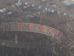 -刘老根大舞台-长春旗舰店
