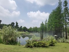 -南京银杏湖乐园