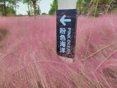 -嘉北郊野公园