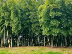 -天目湖涵田度假村