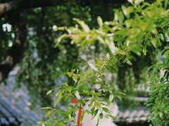 -天朝元辅-徐州民俗博物馆